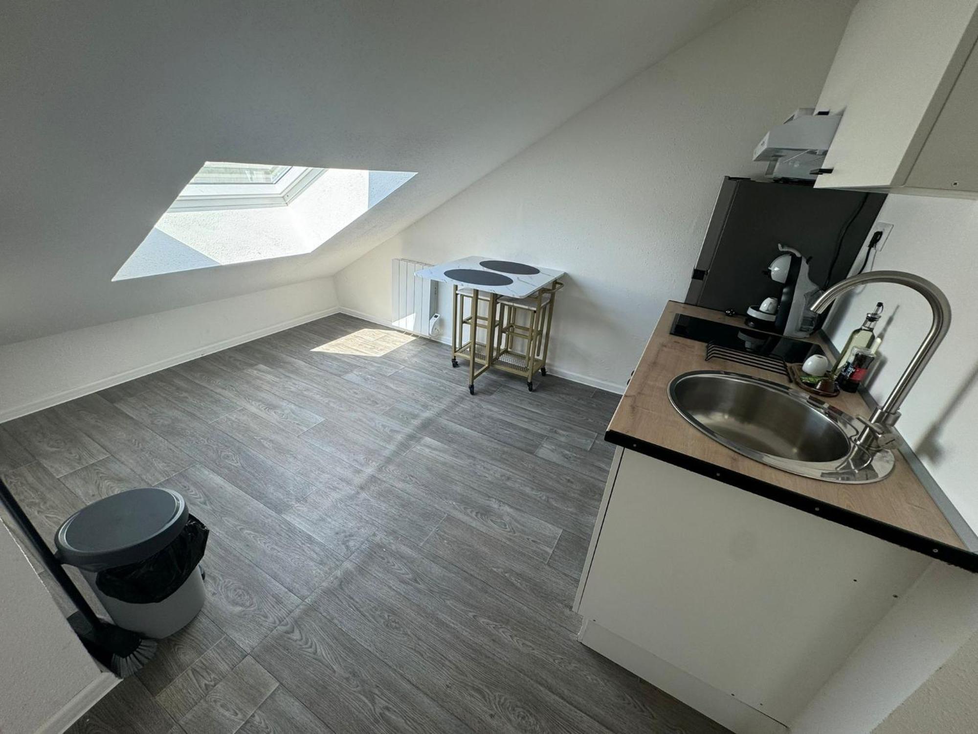 Studio Eucalyptus Charmant Elegant Et Fonctionnel Centre Ville Mulhouse Kültér fotó